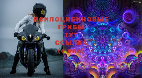экстази Белокуриха